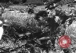 Immagine di Armi giapponesi United States USA, 1943, secondo 62 filmato di repertorio 65675053494
