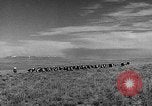 Image Texas City et vue sur la ville et la participation à l'effort de guerre Seconde Guerre Mondiale Texas United States USA, 1945, de la seconde 16 séquences d'archives historiques vidéo 65675053500