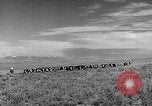 Image Texas City et vue sur la ville et la participation à l'effort de guerre Seconde Guerre Mondiale Texas United States USA, 1945, de la seconde 18 séquences d'archives historiques vidéo 65675053500