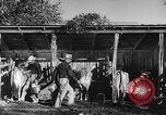Image Ranch au Texas style de milieu des années 1940 Kerrville Texas USA, 1945, de la seconde 30 séquences d'archives historiques vidéo 65675053501