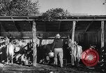Image Ranch au Texas style de milieu des années 1940 Kerrville Texas USA, 1945, de la seconde 31 séquences d'archives historiques vidéo 65675053501
