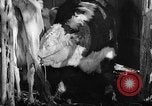 Image Ranch au Texas style de milieu des années 1940 Kerrville Texas USA, 1945, de la seconde 35 séquences d'archives historiques vidéo 65675053501