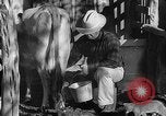 Image Ranch au Texas style de milieu des années 1940 Kerrville Texas USA, 1945, de la seconde 39 séquences d'archives historiques vidéo 65675053501
