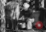 Image Ranch au Texas style de milieu des années 1940 Kerrville Texas USA, 1945, de la seconde 40 séquences d'archives historiques vidéo 65675053501