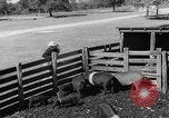 Image Ranch au Texas style de milieu des années 1940 Kerrville Texas USA, 1945, de la seconde 57 séquences d'archives historiques vidéo 65675053501