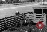 Image Ranch au Texas style de milieu des années 1940 Kerrville Texas USA, 1945, de la seconde 58 séquences d'archives historiques vidéo 65675053501