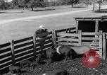 Image Ranch au Texas style de milieu des années 1940 Kerrville Texas USA, 1945, de la seconde 59 séquences d'archives historiques vidéo 65675053501