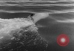 Standbild sneak Handwerk United States USA, 1945, aus Sekunde 43 historischem Filmmaterial Videoclip 65675053510