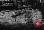 Standbild Molch und Biber Miniatur deutsche U-Boote Atlantik, 1944, aus Sekunde 29 historischem Filmmaterial Videoclip 65675053512