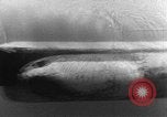 Standbild Molch und Biber Miniatur deutsche U-Boote Atlantik, 1944, aus Sekunde 43 historischem Filmmaterial Videoclip 65675053512