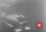 Standbild sneak Handwerk United States USA, 1945, aus Sekunde 39 historischem Filmmaterial Videoclip 65675053513