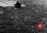 Image of Italian MTSM and German Wendel sneak craft torpedo explosive boats United States USA, 1945, second 33 stock footage video 65675053514