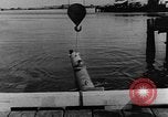 Image of Sneak craft United States USA, 1945, second 32 stock footage video 65675053517