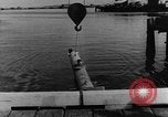 Image of Sneak craft United States USA, 1945, second 33 stock footage video 65675053517