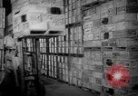 Image of Allied convoys United States USA, 1943, second 52 stock footage video 65675053519