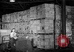 Image of Allied convoys United States USA, 1943, second 62 stock footage video 65675053519