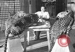 Immagine di Trainer donna Los Angeles California USA, 1935, secondo 9 filmato di repertorio 65675053530