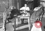 Immagine di Trainer donna Los Angeles California USA, 1935, secondo 10 filmato di repertorio 65675053530