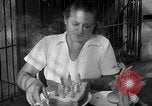 Immagine di Trainer donna Los Angeles California USA, 1935, secondo 24 filmato di repertorio 65675053530