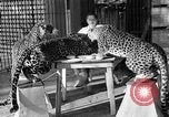 Immagine di Trainer donna Los Angeles California USA, 1935, secondo 27 filmato di repertorio 65675053530