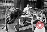 Immagine di Trainer donna Los Angeles California USA, 1935, secondo 29 filmato di repertorio 65675053530
