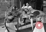 Immagine di Trainer donna Los Angeles California USA, 1935, secondo 35 filmato di repertorio 65675053530