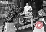 Immagine di Trainer donna Los Angeles California USA, 1935, secondo 36 filmato di repertorio 65675053530