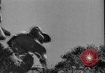 Immagine di Invasione italiana Amba Augher Etiopia, 1935, secondo 19 filmato di repertorio 65675053531