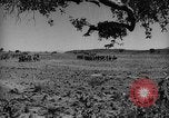 Immagine di Invasione italiana Amba Augher Etiopia, 1935, secondo 60 filmato di repertorio 65675053531