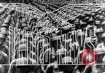 Immagine di Soldati russi Novorossiysk Russia Unione Sovietica, 1943, secondo 13 filmato di repertorio 65675053535