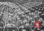 Image of Franklin Roosevelt Washington DC USA, 1945, second 13 stock footage video 65675053541