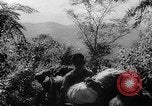 Image of Chinese 38th Infantry Division captures key city Bhamo Burma, 1944, second 11 stock footage video 65675053545
