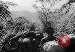 Image of Chinese 38th Infantry Division captures key city Bhamo Burma, 1944, second 12 stock footage video 65675053545