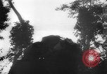 Image of Chinese 38th Infantry Division captures key city Bhamo Burma, 1944, second 13 stock footage video 65675053545