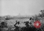 Image of Chinese 38th Infantry Division captures key city Bhamo Burma, 1944, second 36 stock footage video 65675053545