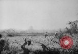 Image of Chinese 38th Infantry Division captures key city Bhamo Burma, 1944, second 39 stock footage video 65675053545