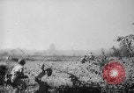 Image of Chinese 38th Infantry Division captures key city Bhamo Burma, 1944, second 40 stock footage video 65675053545