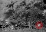 Image of Chinese 38th Infantry Division captures key city Bhamo Burma, 1944, second 60 stock footage video 65675053545