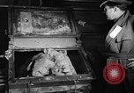 Standbild Pulver Anlage Radford Virginia USA, 1941, aus Sekunde 23 historischem Filmmaterial Videoclip 65675053547