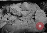 Standbild Pulver Anlage Radford Virginia USA, 1941, aus Sekunde 26 historischem Filmmaterial Videoclip 65675053547