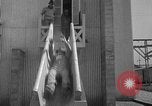 Standbild Pulver Anlage Radford Virginia USA, 1941, aus Sekunde 40 historischem Filmmaterial Videoclip 65675053547