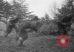 Standbild fünften Regiment Fort Belvoir Virginia USA, 1941, aus Sekunde 43 historischem Filmmaterial Videoclip 65675053548