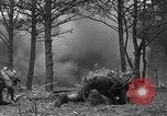 Standbild fünften Regiment Fort Belvoir Virginia USA, 1941, aus Sekunde 53 historischem Filmmaterial Videoclip 65675053548