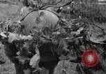 Standbild fünften Regiment Fort Belvoir Virginia USA, 1941, aus Sekunde 59 historischem Filmmaterial Videoclip 65675053548