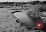 Image Sammamish Slough Cours Seattle Washington USA, 1941, de la seconde 9 séquences d'archives historiques vidéo 65675053560