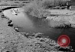 Image Sammamish Slough Cours Seattle Washington USA, 1941, de la seconde 12 séquences d'archives historiques vidéo 65675053560