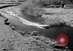 Image Sammamish Slough Cours Seattle Washington USA, 1941, de la seconde 15 séquences d'archives historiques vidéo 65675053560