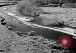 Image Sammamish Slough Cours Seattle Washington USA, 1941, de la seconde 16 séquences d'archives historiques vidéo 65675053560