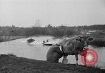Image Sammamish Slough Cours Seattle Washington USA, 1941, de la seconde 21 séquences d'archives historiques vidéo 65675053560