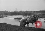 Image Sammamish Slough Cours Seattle Washington USA, 1941, de la seconde 22 séquences d'archives historiques vidéo 65675053560